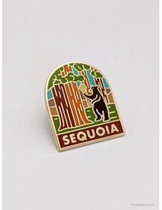 Pin esmalte duro