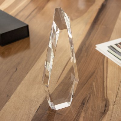 Miniatura 7 de TROFEO "WINNER"