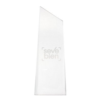 Miniatura 3 de TROFEO "WINNER II"