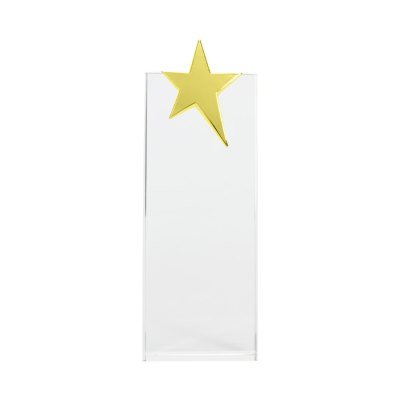 Miniatura 6 de Trofeo Galvano de Cristal "Ledecky"