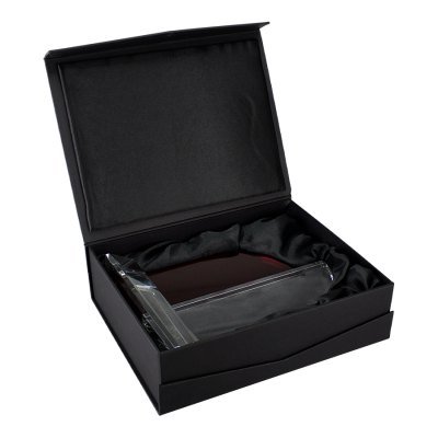 Miniatura 4 de Trofeo Galvano Cristal Catedral