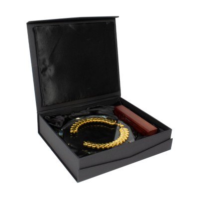 Miniatura 3 de Trofeo Galvano de Madera, Cristal y Acero "Phelps"