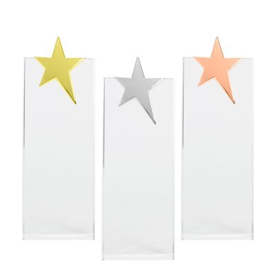 Miniatura 5 de Trofeo Galvano de Cristal "Ledecky"