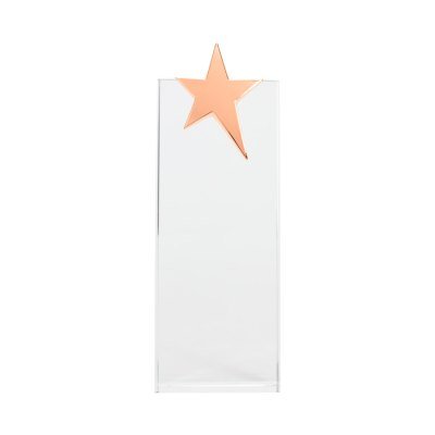 Miniatura 8 de Trofeo Galvano de Cristal "Ledecky"